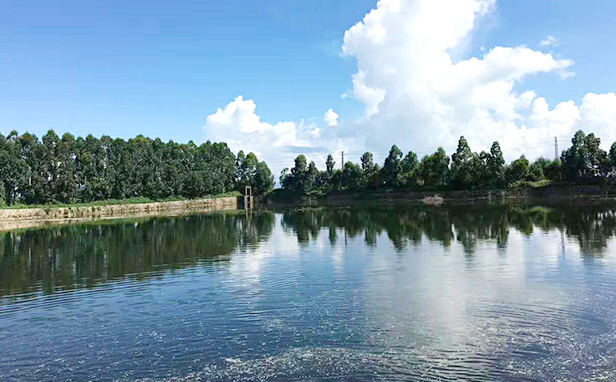 环境污水处理1.jpg
