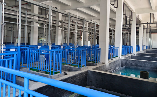 重金属废水处理-池面